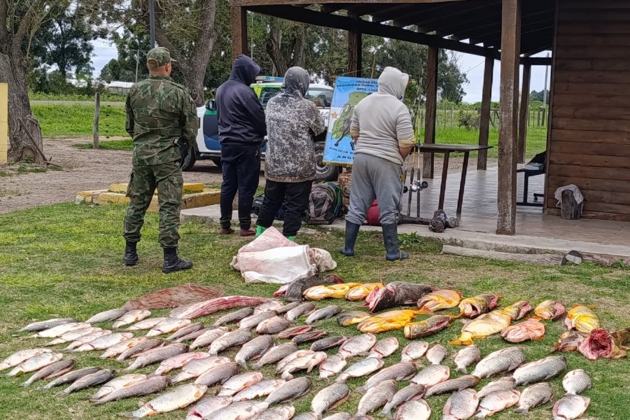 TRES DETENIDOS POR PESCA ILEGAL EN EL RÍO PARANÁ