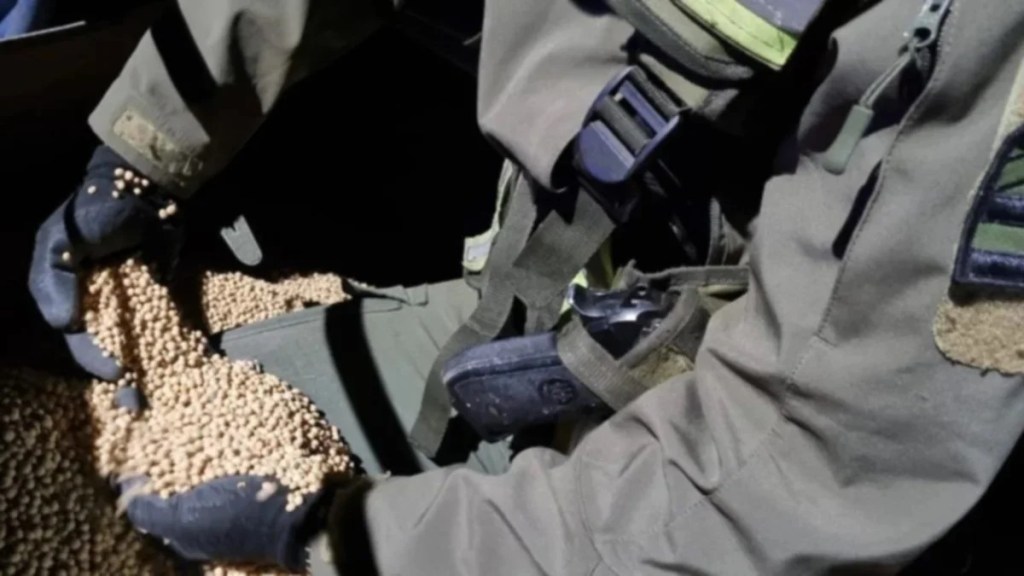 INCAUTAN 29.000 KILOS DE SOJA QUE ERAN ENVIADOS A LA PROVINCIA DE MISIONES
