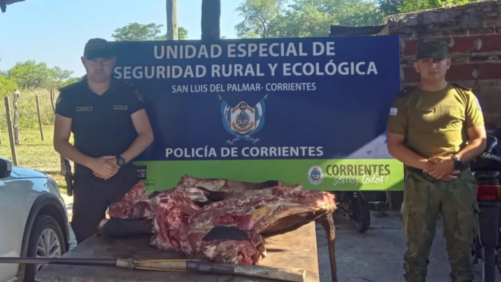 SORPRENDEN A CUATREROS FAENANDO UNA VACA ROBADA EN RAMADA PASO