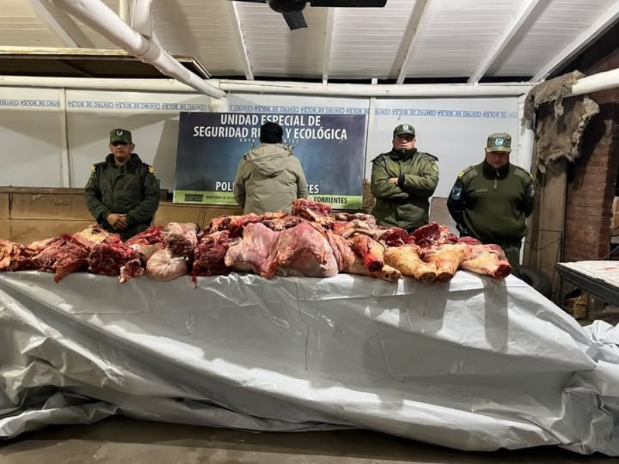 DETIENEN A CARNICERO POR VENDER CARNE DE FAENA ILEGAL