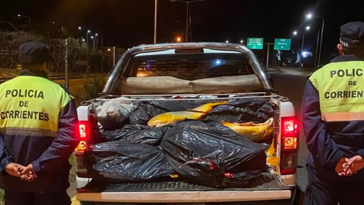 SECUESTRAN 500 KILOS DE PESCADO EN MOCORETÁ