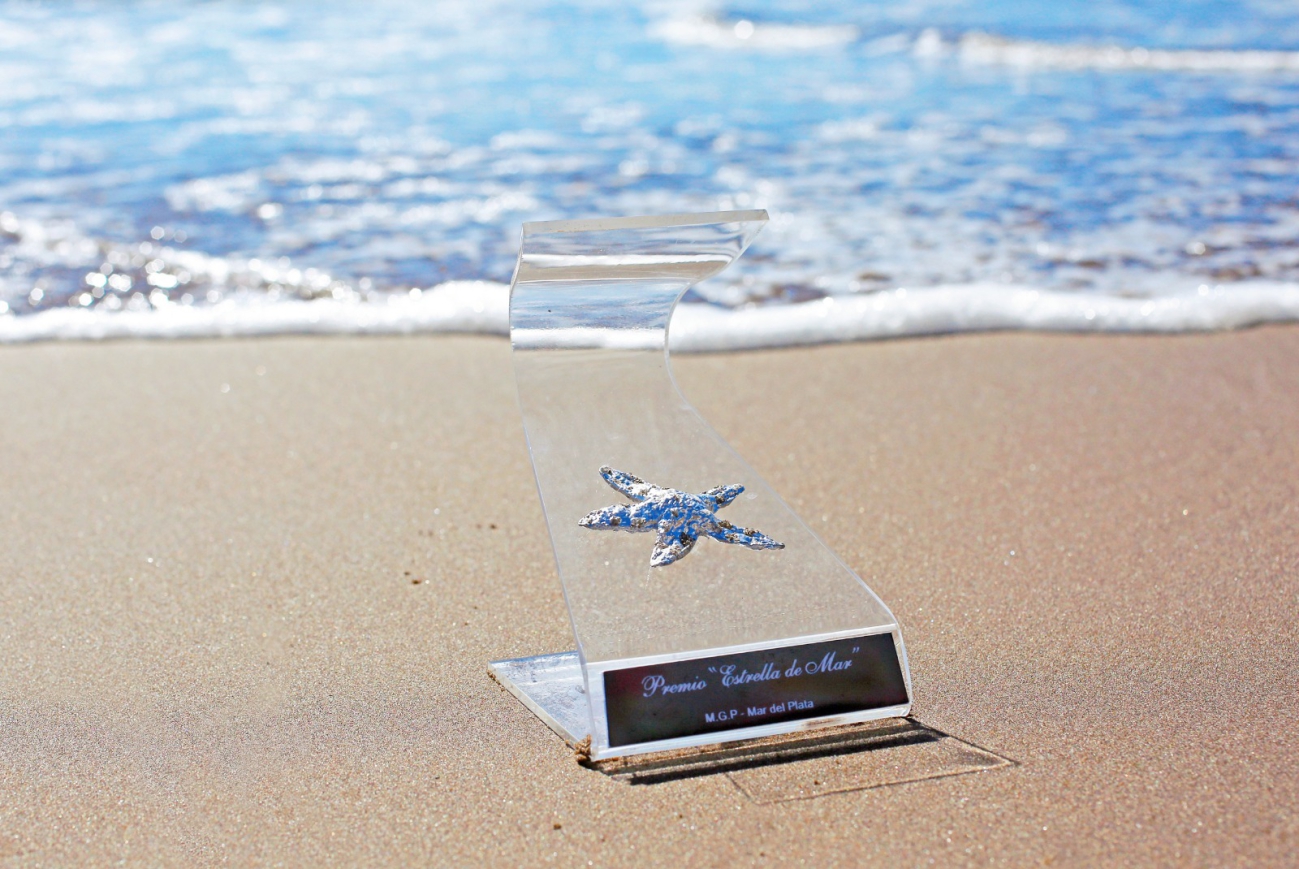 La ceremonia será el 5 de febrero Premios Estrella de Mar 2024: listado completo de los nominados