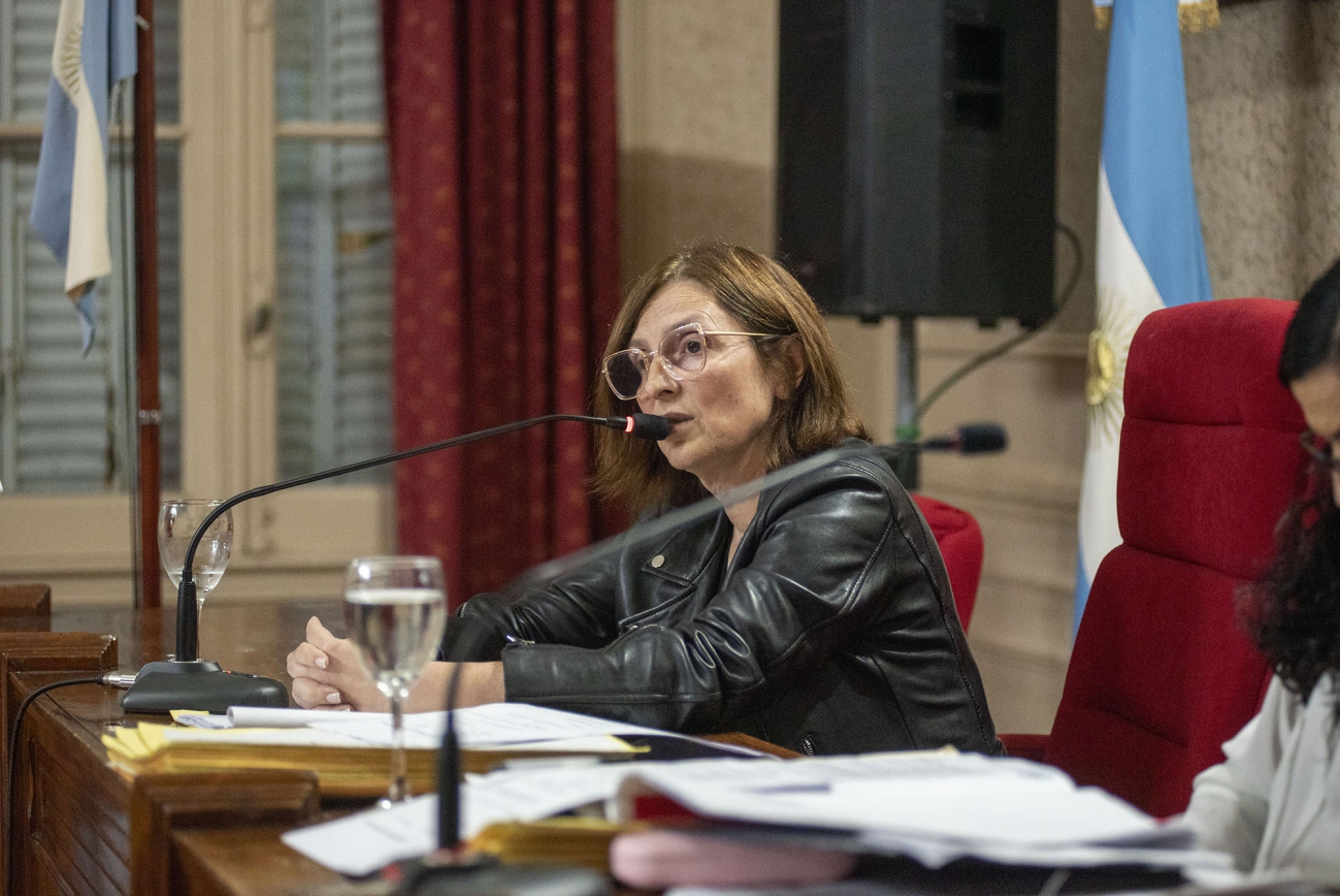 Sala : “El kirchnerismo está usando las bancas del HCD para hacer circo en vez de hacerlo para trabajar por los vecinos”