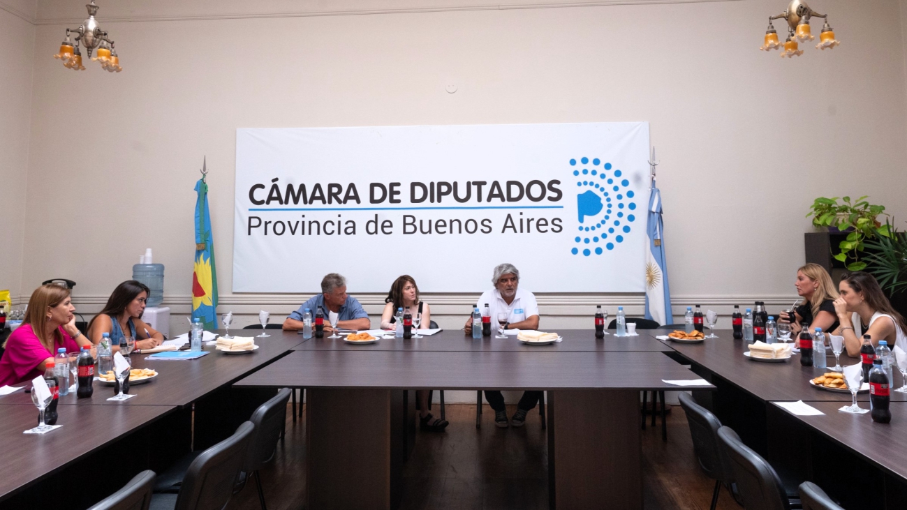 Alonso impulsó una mesa de trabajo entre Diputados Bonaerenses y el Ministerio Provincial