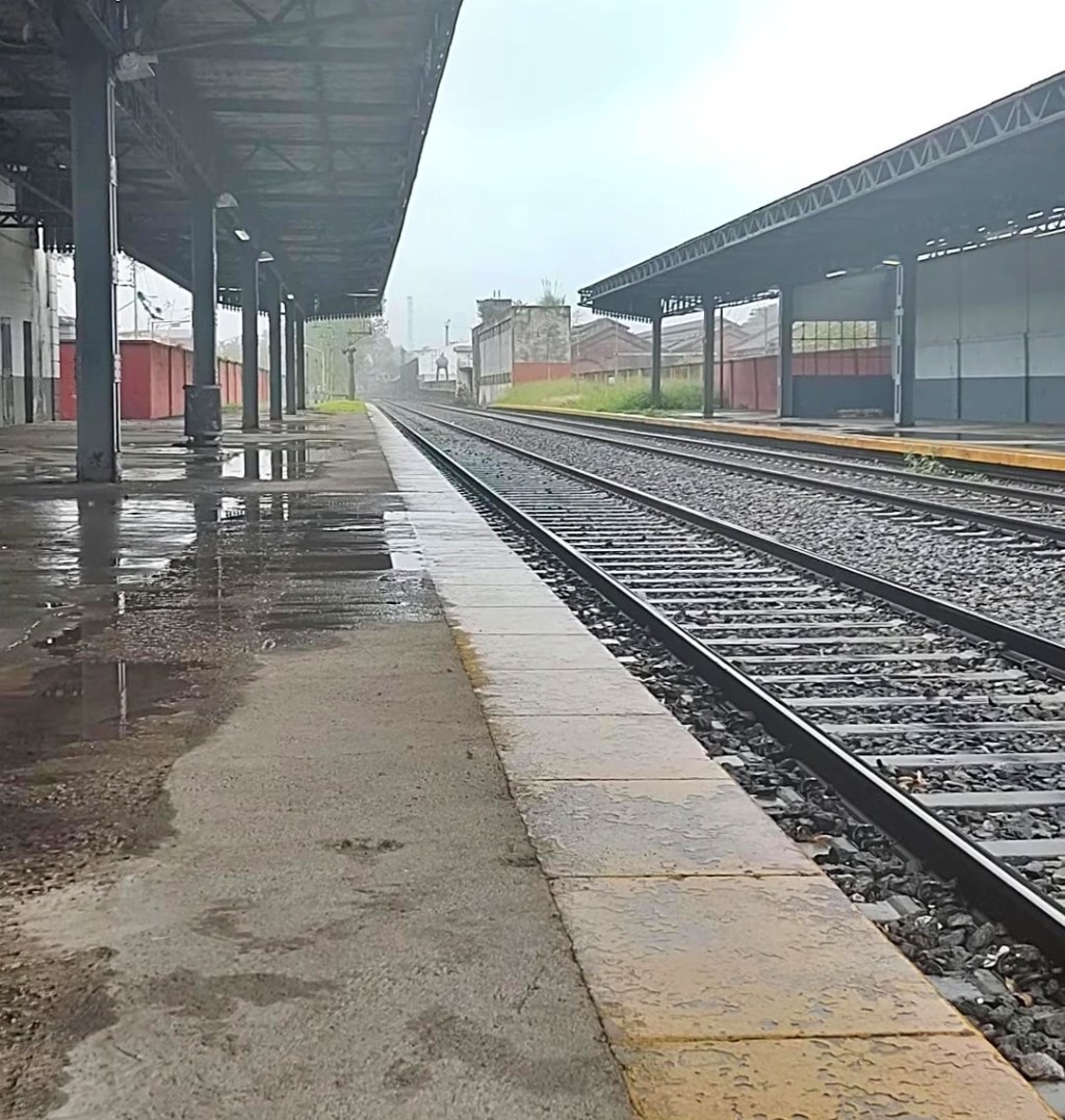 Concejales solicitarán el restablecimiento del servicio de trenes para nuestra Ciudad