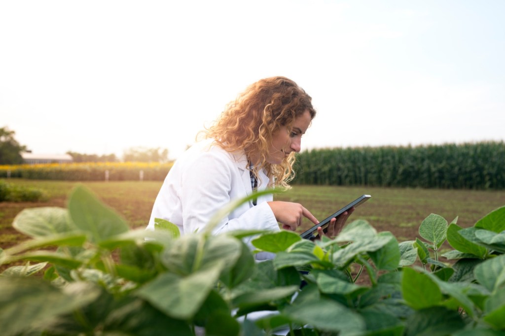 La digitalización redefine la rentabilidad del agro: Agrospot impulsa un nuevo modelo comercial para productores y compradores