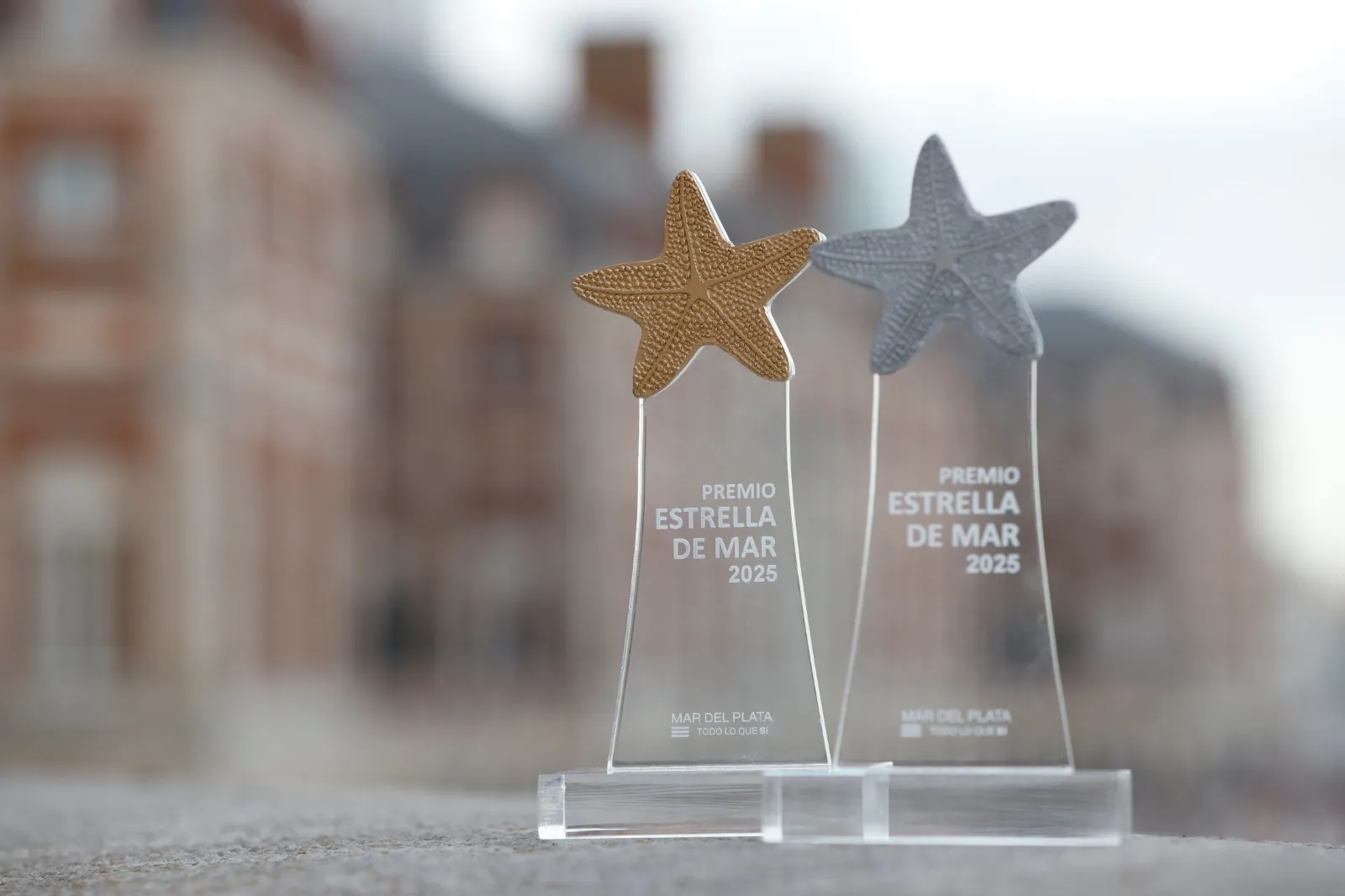 La ceremonia será el lunes 9 de febrero Premios Estrella de Mar 2026: listado completo de los nominados