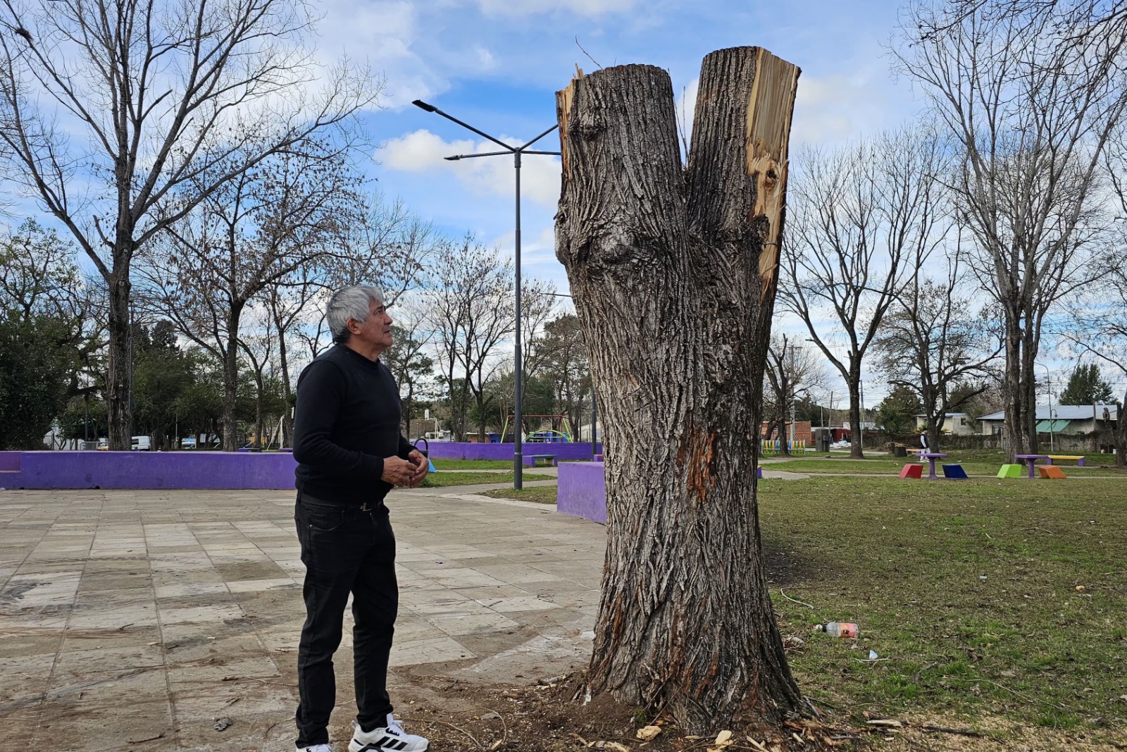 Fuerza Patria denunció la destrucción de árboles históricos y pidió reforestar la plaza de Otamendi