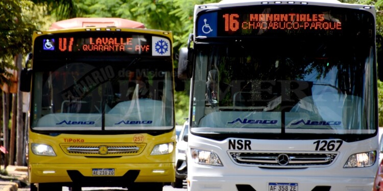 Adjudicaron a San José SA, del grupo Kenia 6 líneas del transporte urbano en Posadas