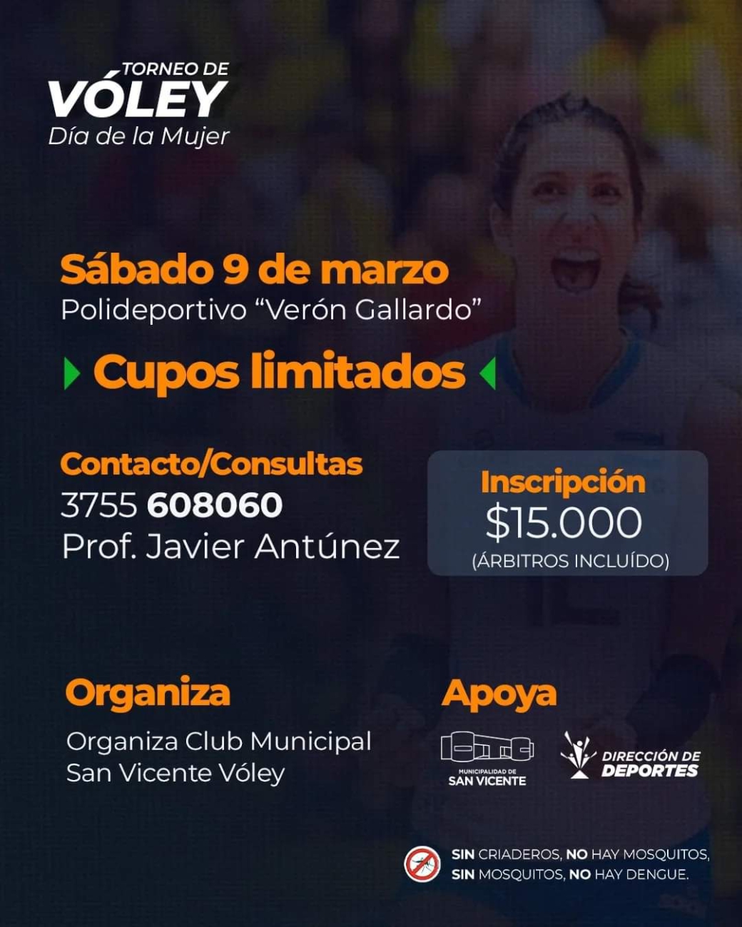 SAN VICENTE: TORNEO DE VÓLEY FEMENINO “DÍA DE LA MUJER”