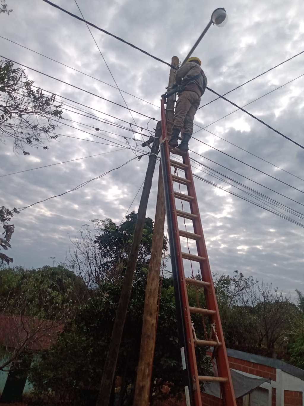 ENERGÍA DE MISIONES: CAMPO VIERA CON NUEVAS LÍNEAS DE ALUMBRADO.