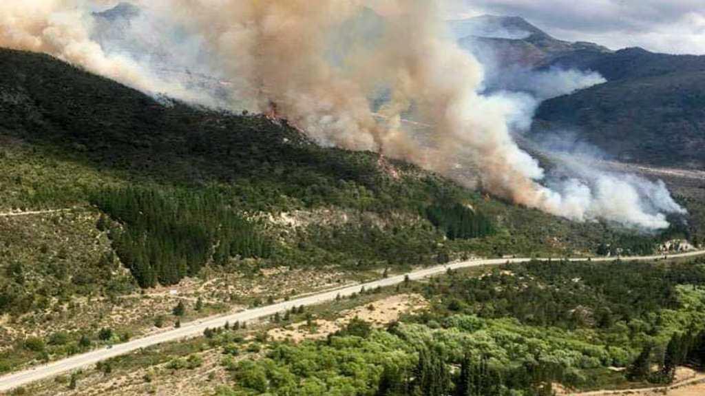 Presupuesto 2026: el Gobierno asignó el número más bajo de la historia para la protección de bosques nativos