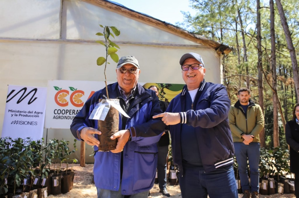 SE ENTREGARON MÁS DE 35.000 PLANTINES A PRODUCTORES EN LEANDRO N. ALEM
