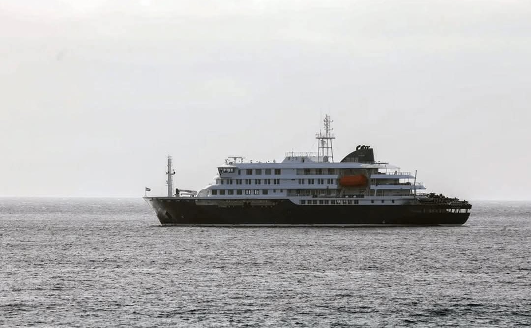 Alerta internacional: El hantavirus golpea a un crucero y pone en foco a la peligrosa "cepa andina"