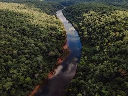Misiones, una isla de estabilidad y crecimiento en un contexto de incertidumbre.