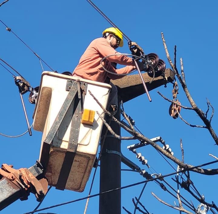 ENERGÍA DE MISIONES: TRABAJOS DE FORTALECIMIENTO EN LA RED ELÉCTRICA EN SAN PEDRO