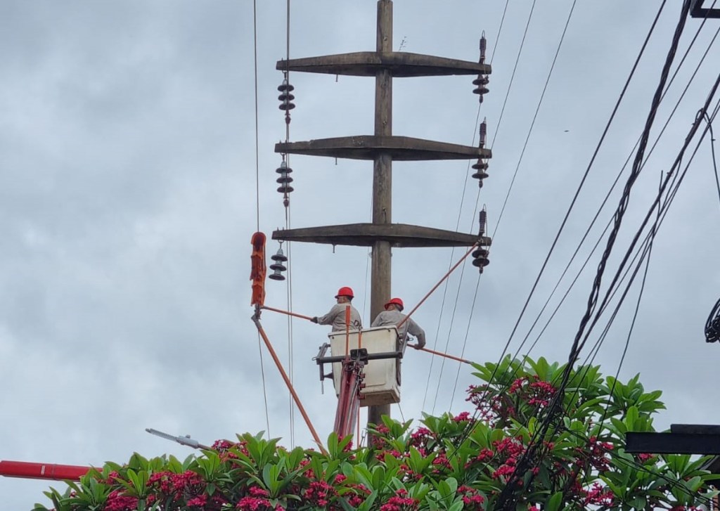 ENERGÍA: MANTENIMIENTO DE LÍNEAS Y AISLADORES DE LA ZONA OESTE DE POSADAS