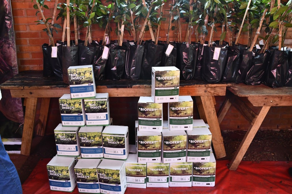 Eldorado: Entrega de plantines a productores locales
