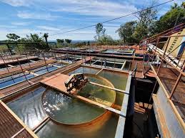 Eldorado: CEEL Aguas informa sobre trabajos programados