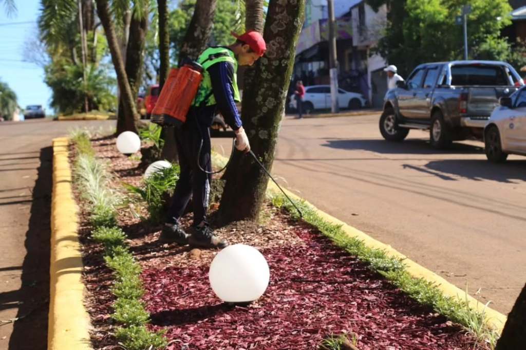 La Municipalidad de Eldorado continúa embelleciendo los espacios públicos