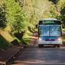 Avanza la elaboración del pliego de condiciones para la licitación del transporte urbano en Eldorado