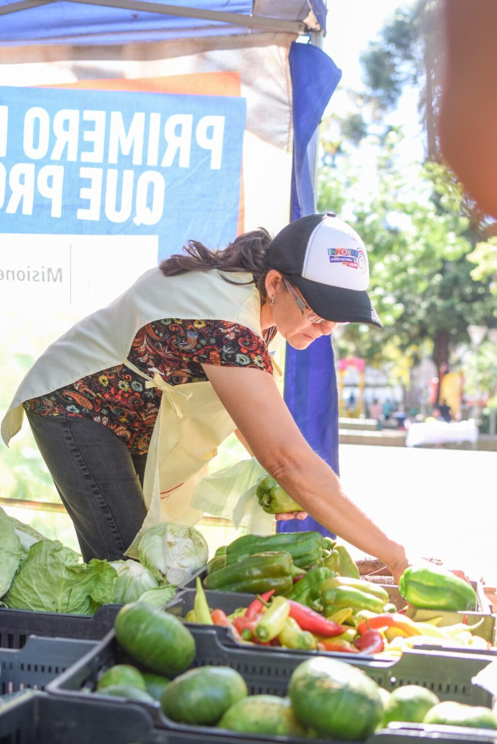 AVANCES EN PRODUCCIÓN Y AGROECOLOGÍA BENEFICIAN A MÁS DE MIL FAMILIAS MISIONERAS