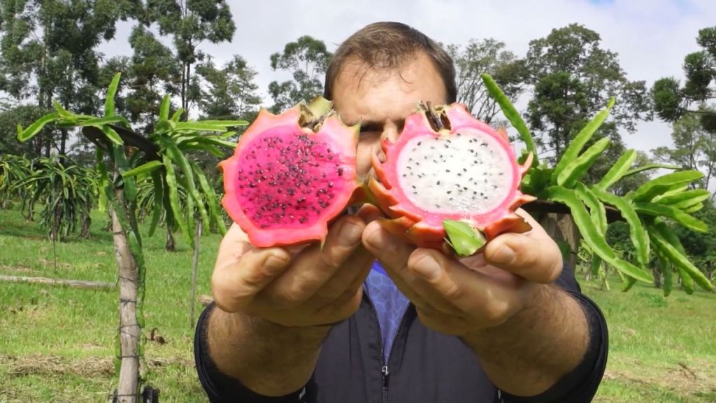 Chacras multiproductivas: proponen un régimen para diversificar la producción y fortalecer el arraigo rural