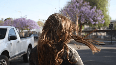 Otra jornada con viento sur intenso en San Juan