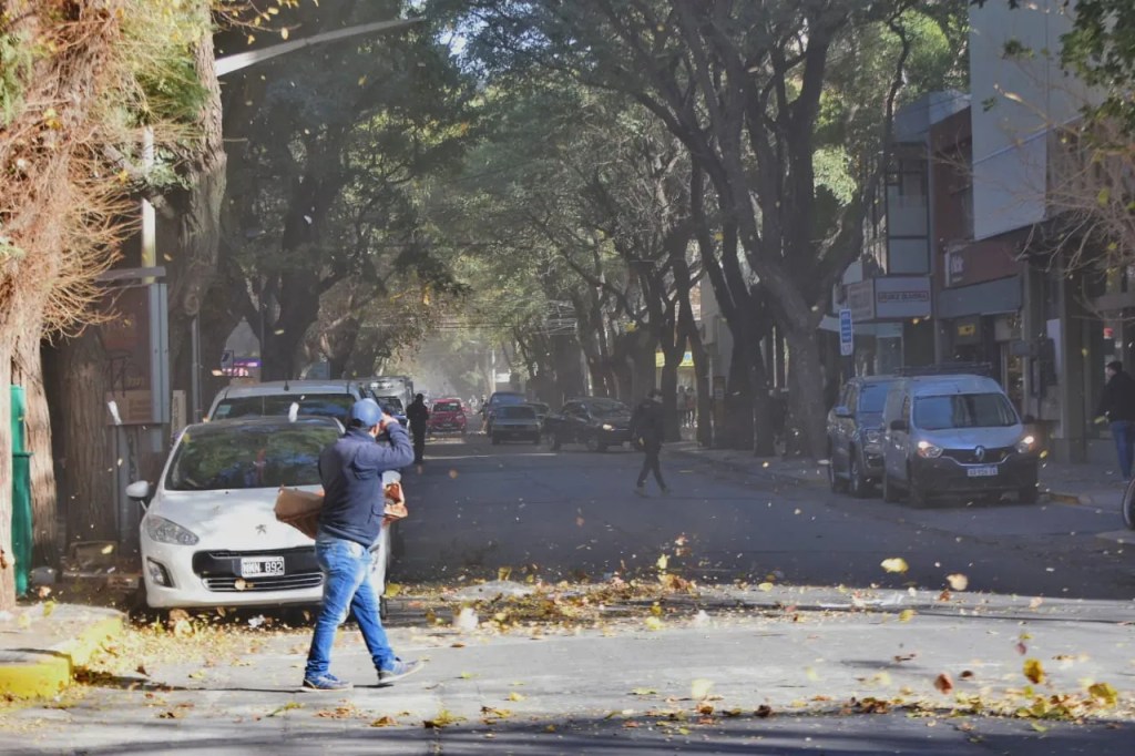 Viento sur intenso y nuevo descenso de la temperatura en San Juan