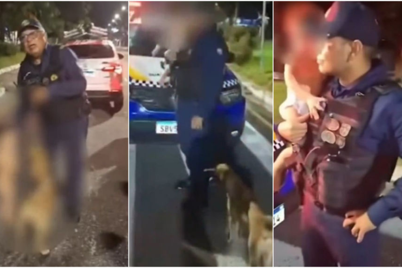 Niño de un año escapó de madrugada y fue hallado bajo la “protección” de un perro