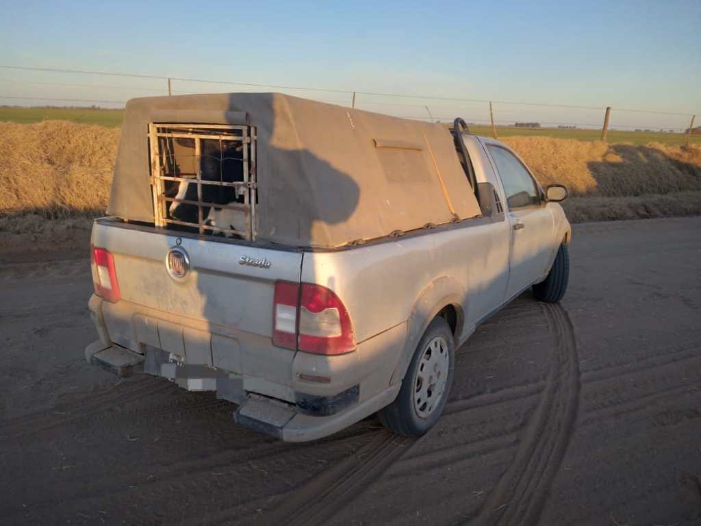 SECUESTRO DE ANIMALES