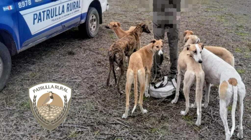 INFRACCIÓN A LAS NORMAS DE CAZA