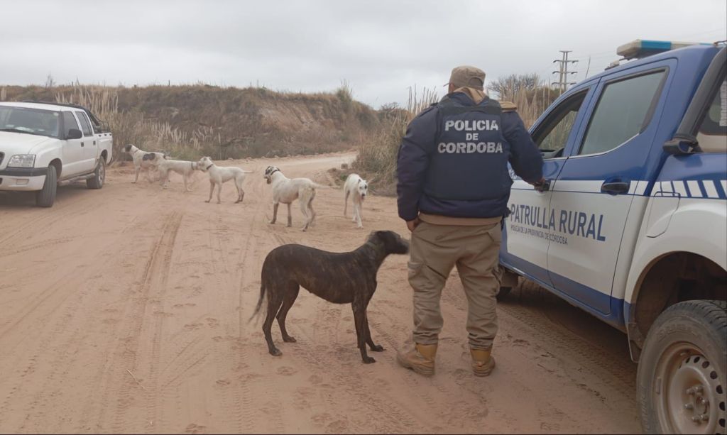 MERODEO EN ZONA RURAL