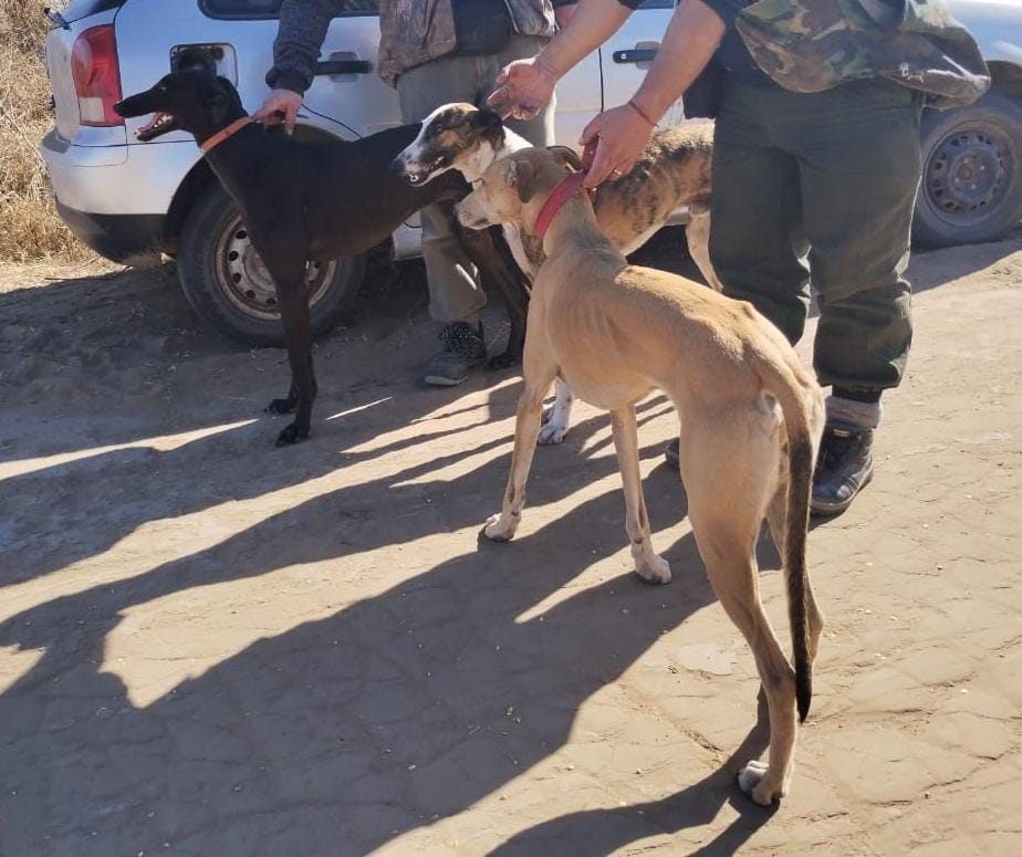 INFRACCIÓN A LAS NORMAS DE CAZA