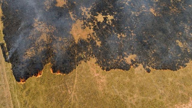 Los Incendios en el Pantanal Brasileño: Un Desastre Ambiental Sin Precedentes