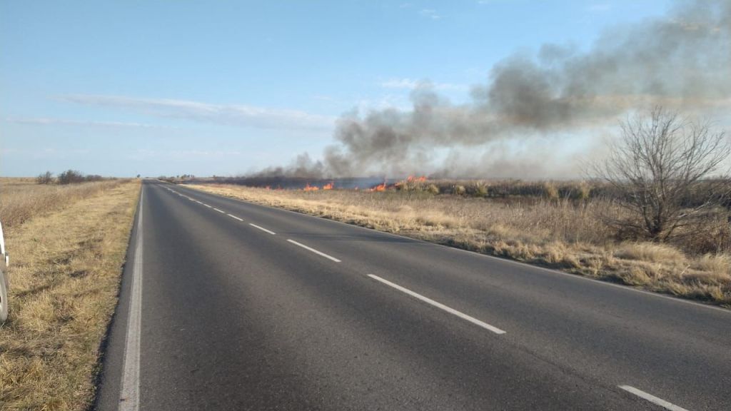 INCENDIO EN PASTIZALES