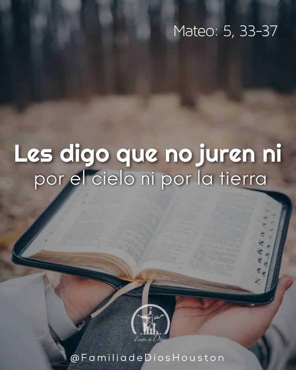 LITURGIA DEL DÍA
