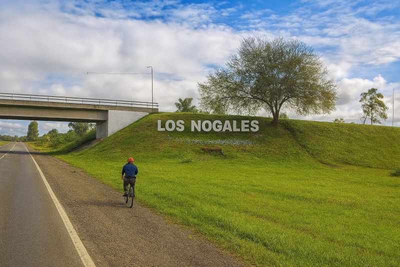 El origen del pueblo de los Nogales